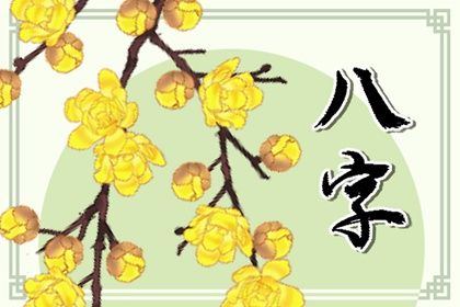 流年运势:动态视角