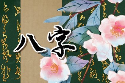 命宫身宫胎元如何并看