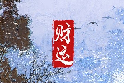 如何看事业信息