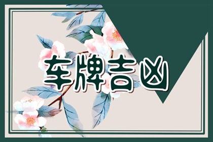 车牌的实操步骤