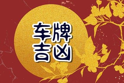 车牌数字总和法