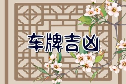 车牌字母的争议