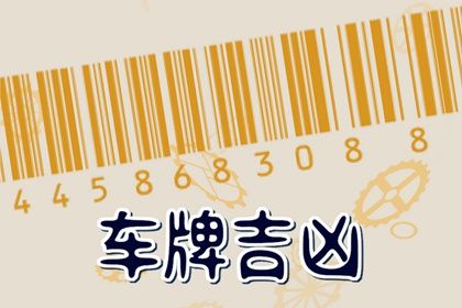 车牌号的谐音读