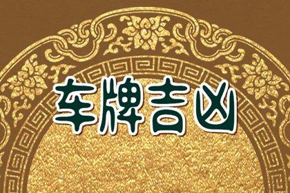 车牌与车牌之间