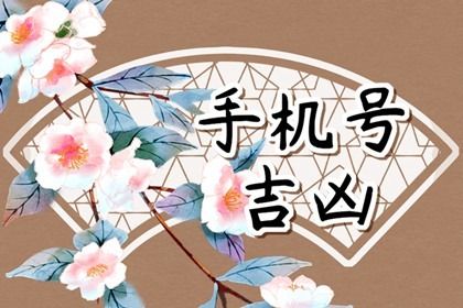 工具与心理投射