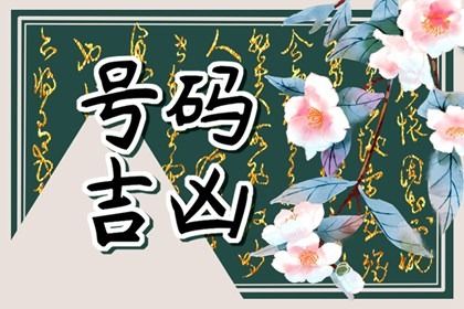 工具不解决根本焦虑