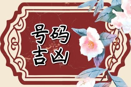 为什么要强调娱乐