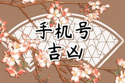 靓号就一定吉利吗