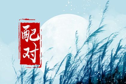 嫁娶生肖配对_缘分方法_姻缘匹配测试_婚姻生肖配对