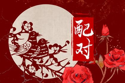 合婚为何讲阴阳平衡