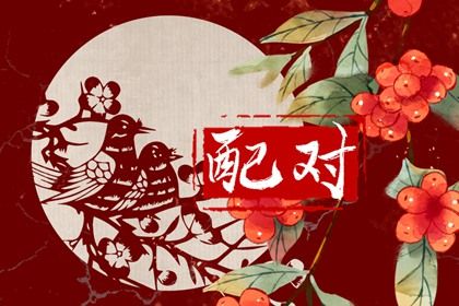 命盘夫妻宫变动,排八字命盘,紫微星辰排盘,西洋占星命盘