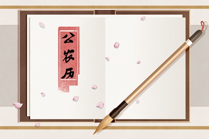 九星背后的秩序感