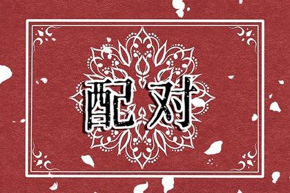 理想对象类型