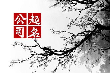 八字吉凶方位,论玄八字排盘,知运八字,八字运程流年,八字算文昌
