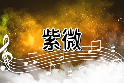 四象各有几宿