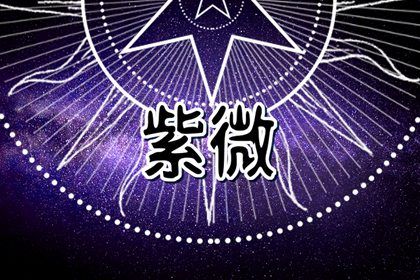 子女宫只看孩子吗