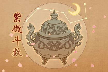 十二宫结构